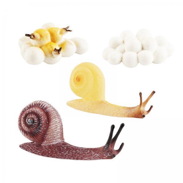 Frühkindliche Bildung Lebenszy – Kids Toys Cycle Bewertung und Preis