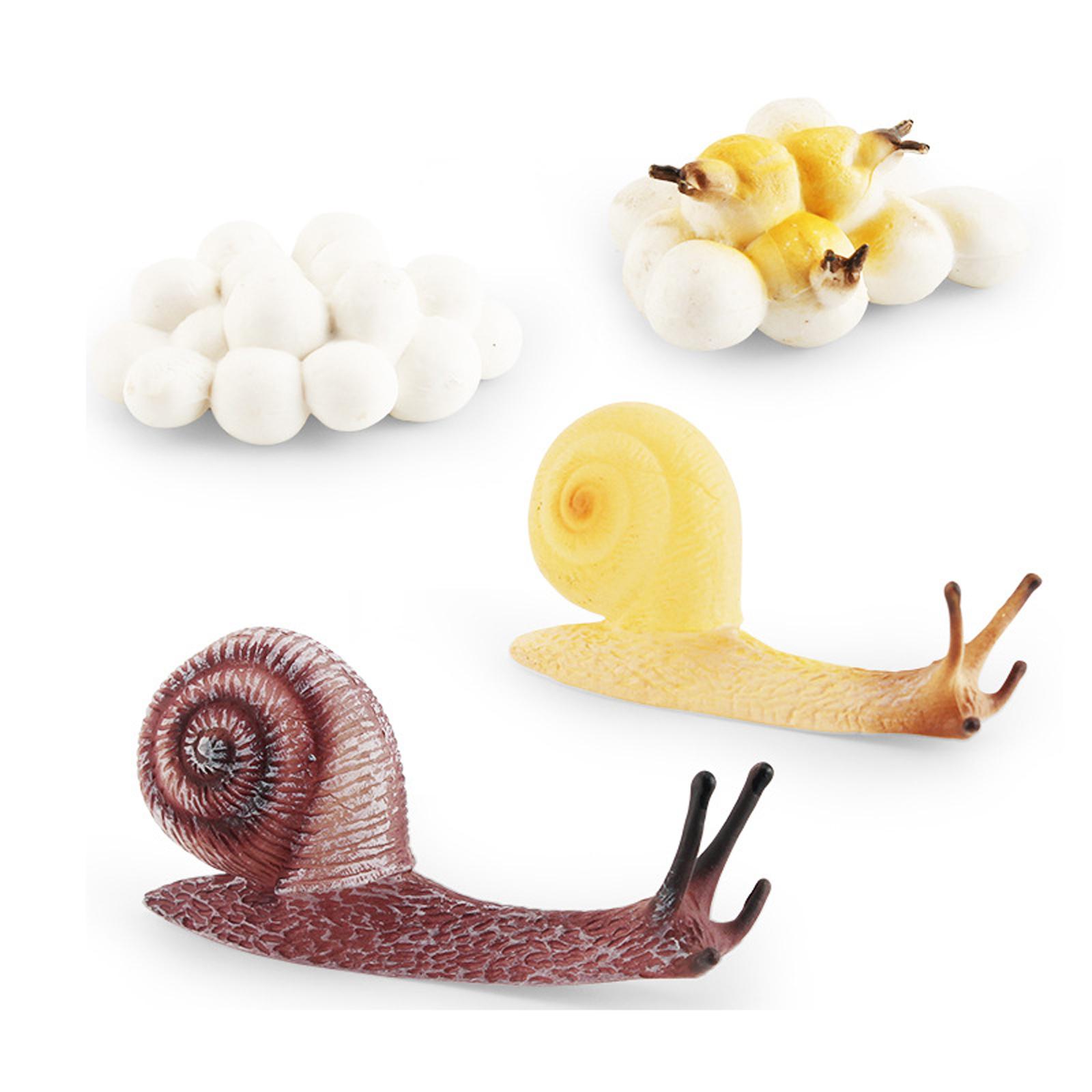 Frühkindliche Bildung Lebenszy – Kids Toys Cycle Bewertung und Preis