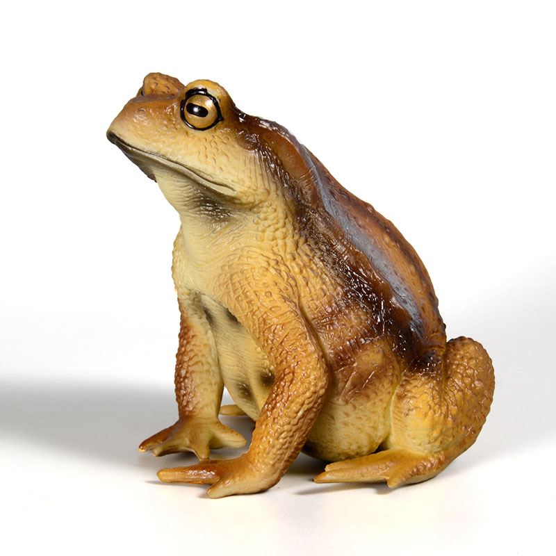 Amphibien-Frosch-Figur Insekte – Kids Toys Packaging Bewertung und Preis