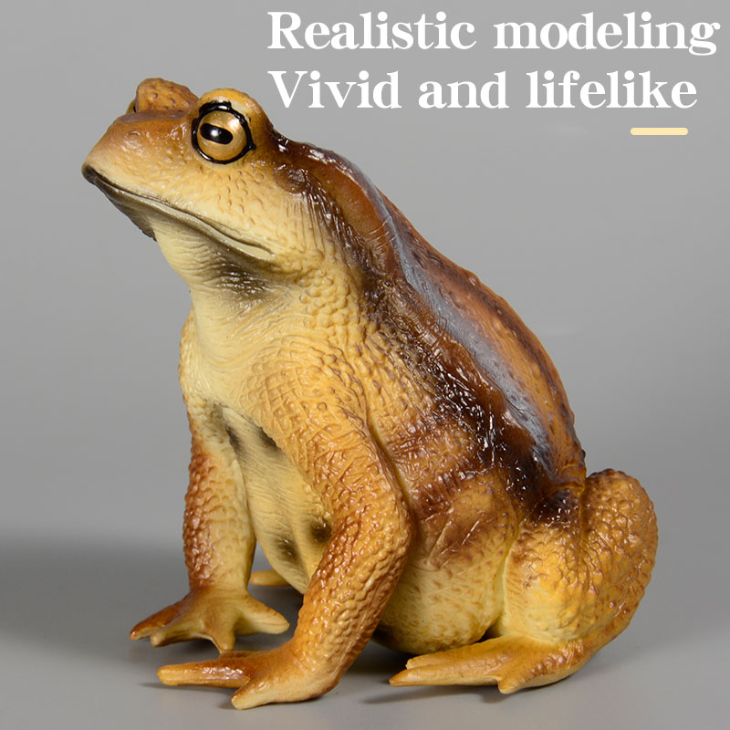 Amphibien-Frosch-Figur Insekte – Kids Toys Packaging Bewertung und Preis