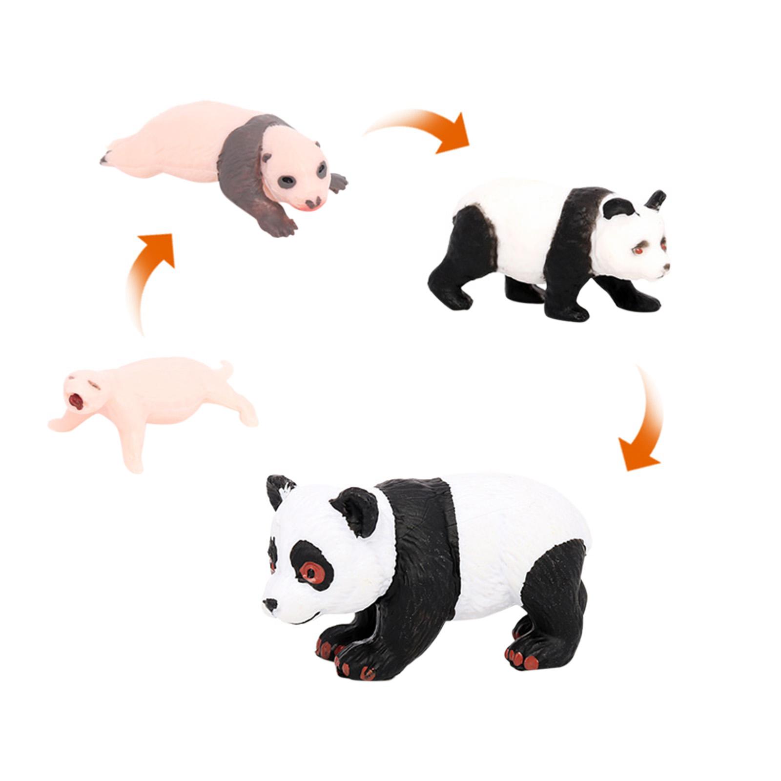 4x 4x Panda-Tier-Lebenszyklus- – Kids Toys Cycle Bewertung und Preis
