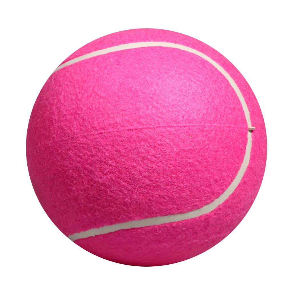 Hunde-Tennisball-Spielzeug Auf – Kids Toys Exhibition Bewertung und Preis