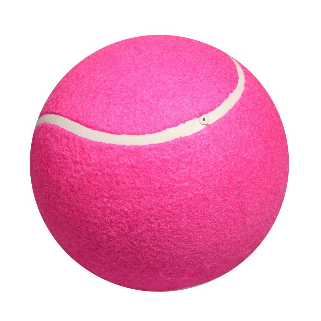 Hunde-Tennisball-Spielzeug Auf – Kids Toys Exhibition Bewertung und Preis